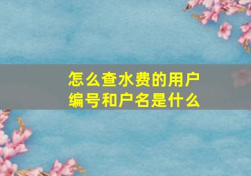 怎么查水费的用户编号和户名是什么