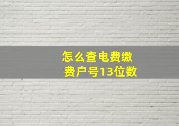 怎么查电费缴费户号13位数