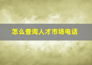 怎么查询人才市场电话