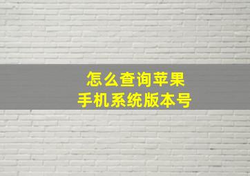 怎么查询苹果手机系统版本号