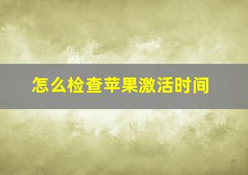 怎么检查苹果激活时间