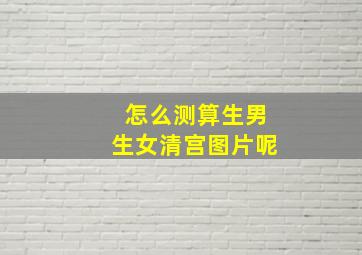 怎么测算生男生女清宫图片呢