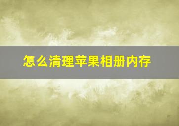 怎么清理苹果相册内存