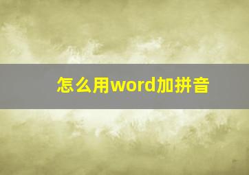 怎么用word加拼音