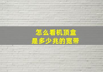 怎么看机顶盒是多少兆的宽带