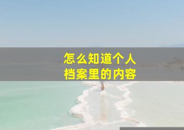 怎么知道个人档案里的内容