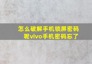 怎么破解手机锁屏密码呢vivo手机密码忘了