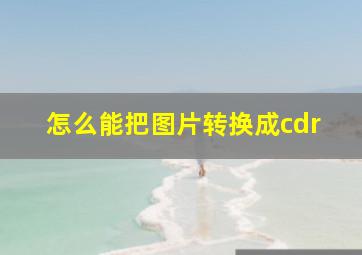 怎么能把图片转换成cdr