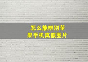 怎么能辨别苹果手机真假图片