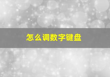 怎么调数字键盘