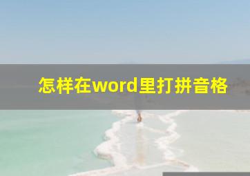 怎样在word里打拼音格