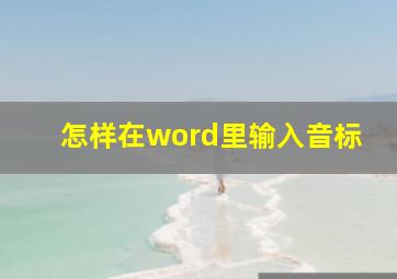 怎样在word里输入音标