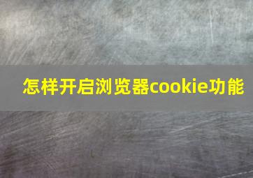 怎样开启浏览器cookie功能