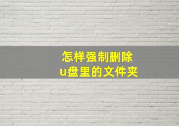 怎样强制删除u盘里的文件夹