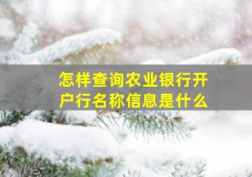 怎样查询农业银行开户行名称信息是什么