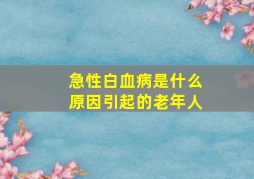 急性白血病是什么原因引起的老年人