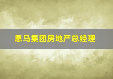 恩马集团房地产总经理