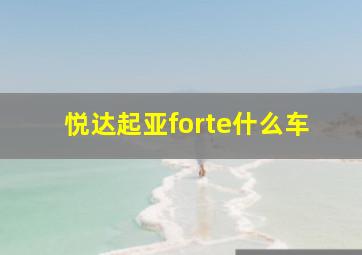 悦达起亚forte什么车