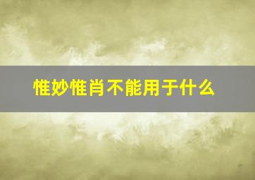 惟妙惟肖不能用于什么