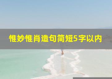 惟妙惟肖造句简短5字以内