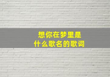 想你在梦里是什么歌名的歌词