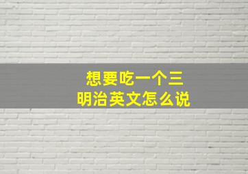 想要吃一个三明治英文怎么说