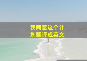 我同意这个计划翻译成英文