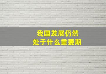 我国发展仍然处于什么重要期