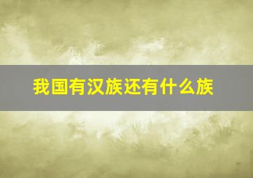 我国有汉族还有什么族