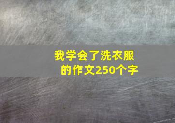 我学会了洗衣服的作文250个字