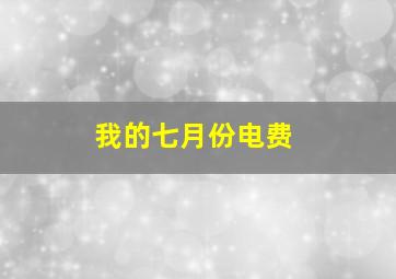 我的七月份电费