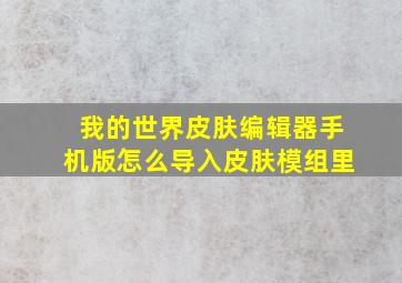 我的世界皮肤编辑器手机版怎么导入皮肤模组里