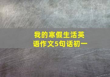 我的寒假生活英语作文5句话初一