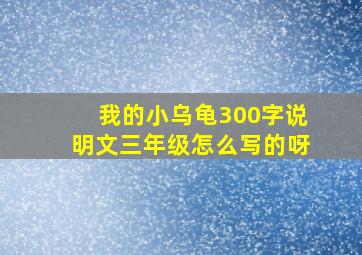 我的小乌龟300字说明文三年级怎么写的呀