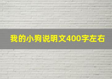 我的小狗说明文400字左右