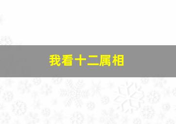 我看十二属相