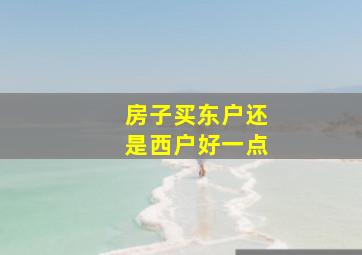 房子买东户还是西户好一点