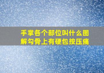 手掌各个部位叫什么图解勾骨上有硬包按压痛