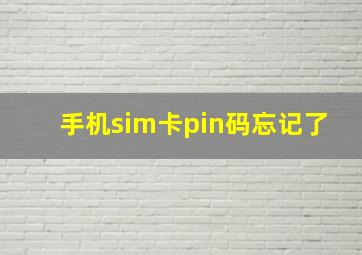 手机sim卡pin码忘记了