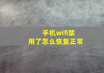 手机wifi禁用了怎么恢复正常