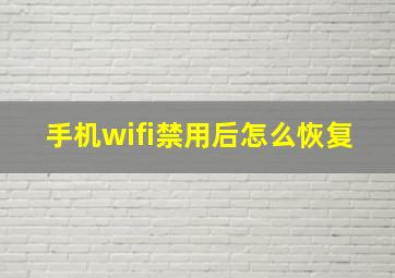 手机wifi禁用后怎么恢复