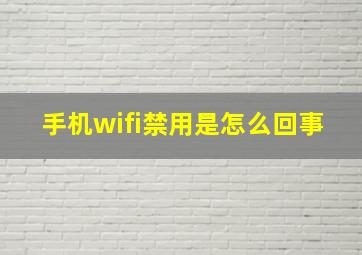 手机wifi禁用是怎么回事