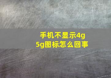 手机不显示4g5g图标怎么回事