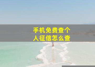 手机免费查个人征信怎么查