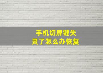 手机切屏键失灵了怎么办恢复