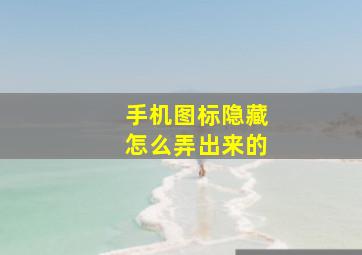 手机图标隐藏怎么弄出来的