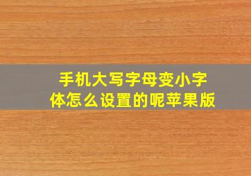 手机大写字母变小字体怎么设置的呢苹果版