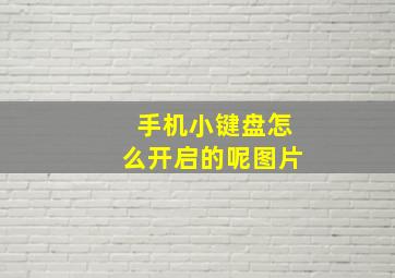 手机小键盘怎么开启的呢图片