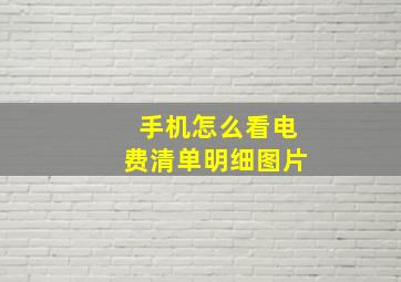 手机怎么看电费清单明细图片