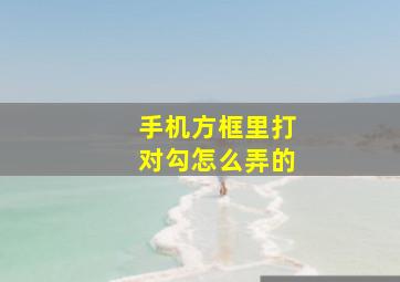 手机方框里打对勾怎么弄的